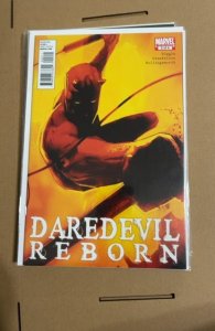 Daredevil: Reborn #2 (2011)