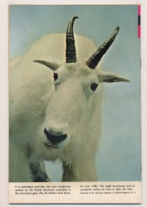 Lone Ranger (1964 Gold Key) #8 VF/NM