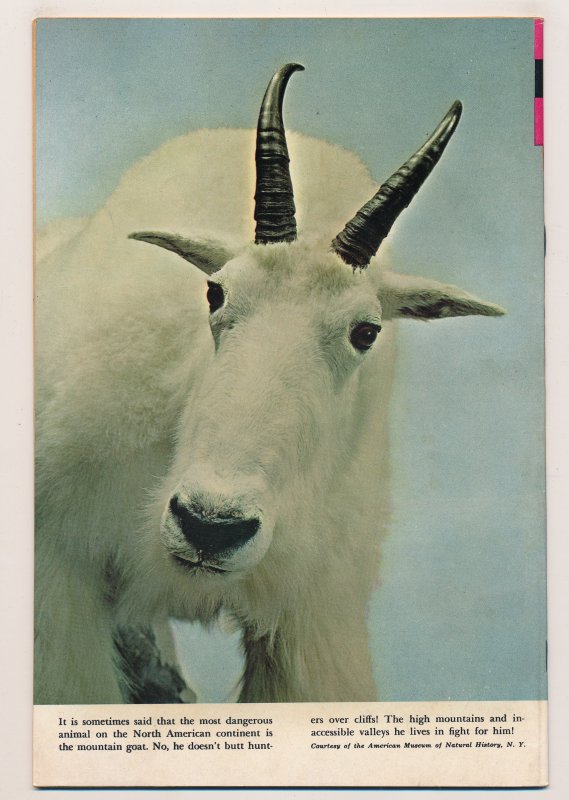 Lone Ranger (1964 Gold Key) #8 VF/NM