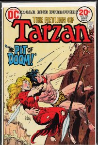 Edgar Rice Burroughs' Tarzan #223 (1973)