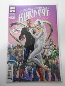 Black Cat Annual (2020)
