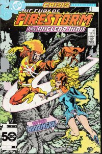 The Fury of Firestorm #41 (1985) Firestorm