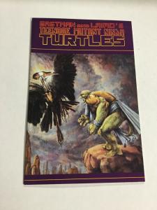 Teenage Mutant Ninja Turtles 36 Nm Near Mint 