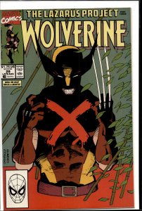 Wolverine #17 (1989) Wolverine