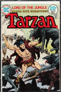 Edgar Rice Burroughs' Tarzan #226 (1973)