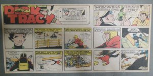 (50) Dick Tracy 1973 Sunday Pages by Chester Gould Size 7.5 x 15 Complete Year !