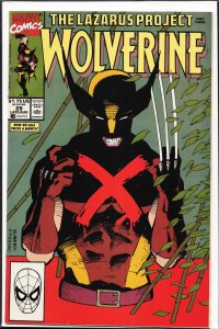 Wolverine #29 (1990) Wolverine