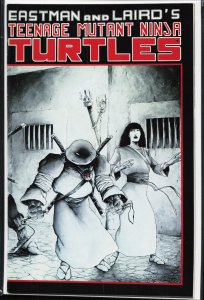 Teenage Mutant Ninja Turtles #17 (1988)