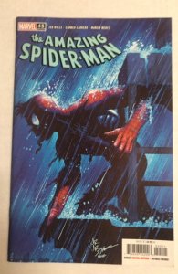 The Amazing Spider-Man #45 (2024)