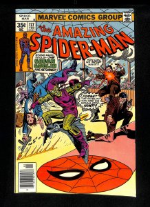 Amazing Spider-Man #177 Green Goblin!