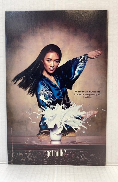 The Punisher #15 (2002)