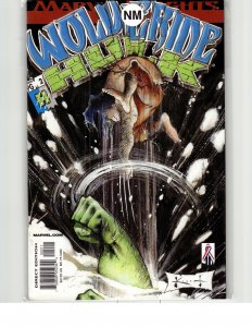 Wolverine/Hulk #2 (2002) Wolverine
