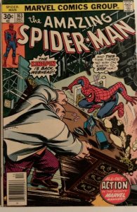 The Amazing Spider-Man #163 (1976) FN/VF