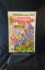 The Amazing Spider-Man #191 (1979) Spider-Man 