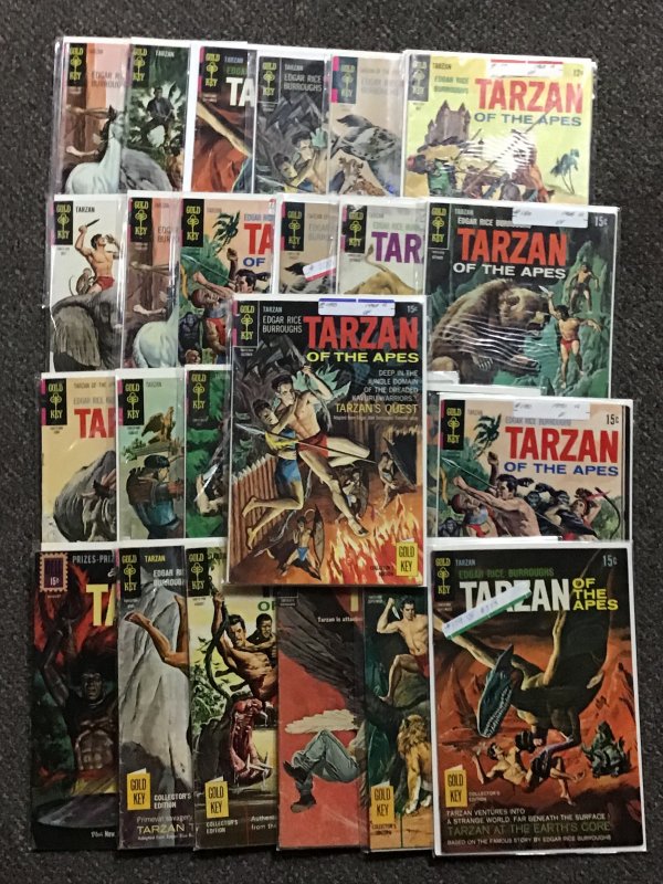 Tarzan of the Apes, 25 Silver Age and Bronze Age Book Lot.  Great Adventure Book