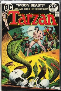 Edgar Rice Burroughs' Tarzan #225 (1973)