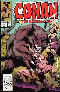 Conan the Barbarian #224 (1989) Conan