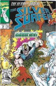 Silver Surfer #70 through 75 (1992)