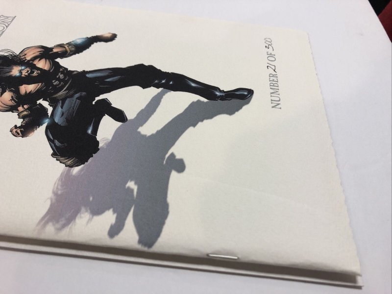 Stone The Awakening Museum Edition (1998) # 1 (NM) # 21/300