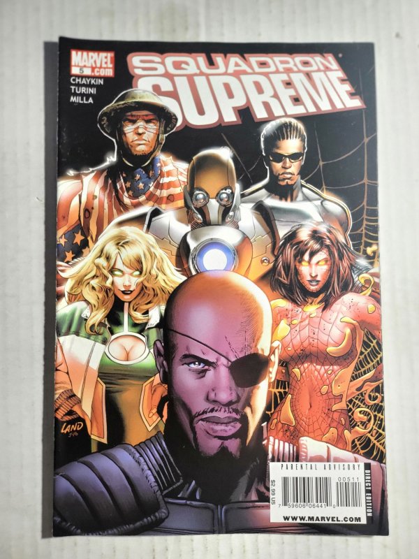 Squadron Supreme #4 through 6 (2008)