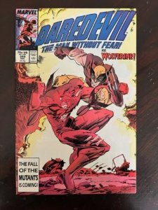 Daredevil #249 (1987) - NM Wolverine !