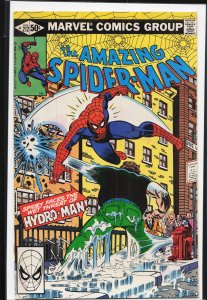 The Amazing Spider-Man #212 (1981) Spider-Man [Key Issue]