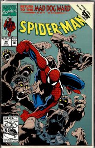 Spider-Man #29 (1992) Spider-Man