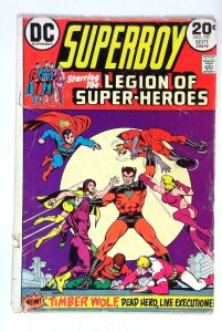 Superboy and the Legion of Super-Heroes #197 Legion Timber Wolf DC (1973) G/VG