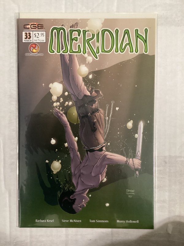 Meridian #33 (2003)