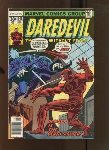 DAREDEVIL #148 - NEWSSTAND - 1st Nose Norton (5.5) 1977