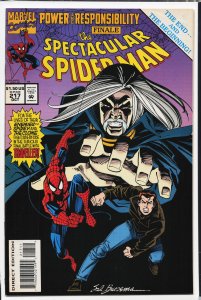 The Spectacular Spider-Man #217 (1994) Spider-Man