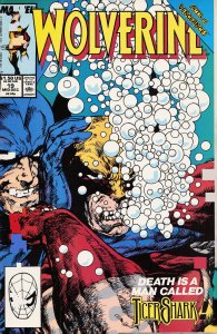 Wolverine #19 (1989) Wolverine