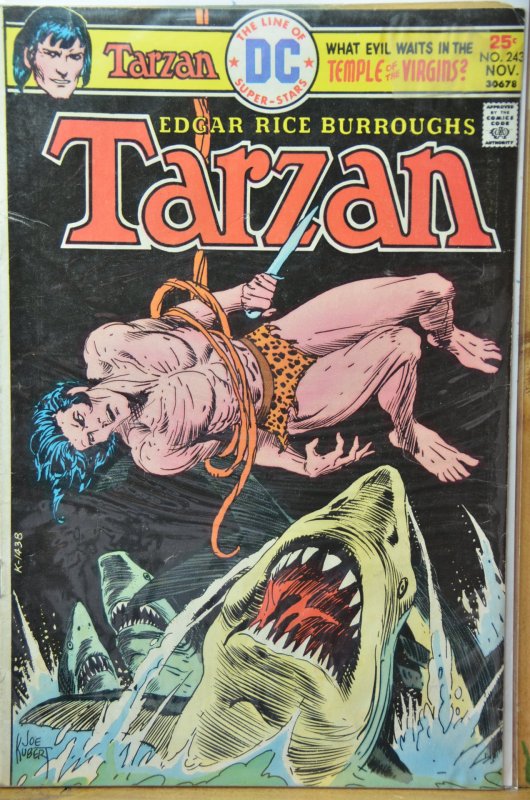 Tarzan #243 (1975) Classic Joe Kubert Cover !