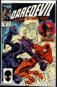 Daredevil #248 (1987) Daredevil [Key Issue]