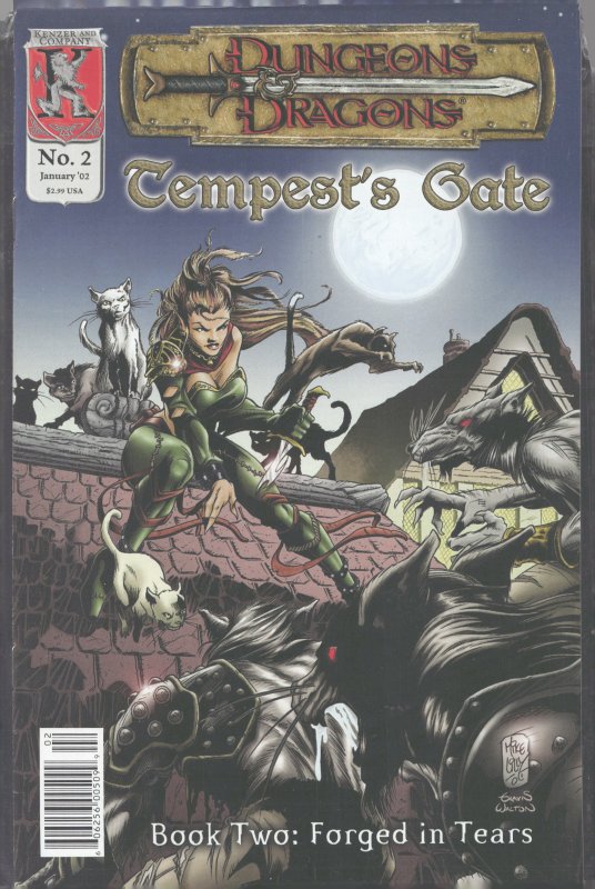 Dungeons & Dragons: Tempests Gate #2 (2002)