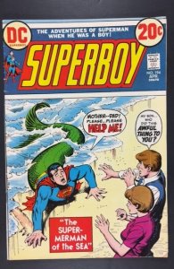 Superboy #194 (1973)