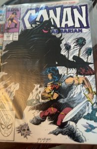 Conan the Barbarian #209 (1988) Conan 