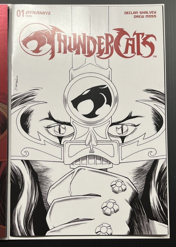 THUNDERCATS #1 CVR Q 1:10 SHALVEY LINE ART + V 1:40 VIRGIN FOIL 2024 PROSHIPPER