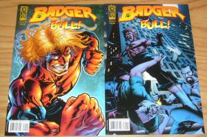 Badger: Bull! #1 VF/NM one-shot + variant MIKE BARON kevin caron 2007 IDW COMIC