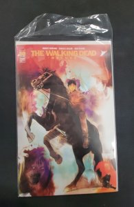 The Walking Dead Deluxe #53 Cover C (2022)