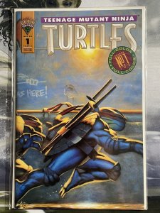 TEENAGE MUTANT NINJA TURTLES # 1 MIRAGE PUBLISHING October 1993