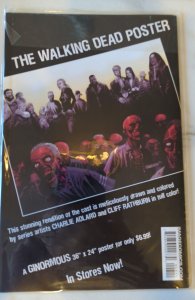 The Walking Dead #43 (2007)