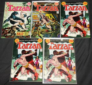 DC Bronze Age TARZAN 44  Mid-High Grade Comic Lot FN-NM many Joe Kubert art
