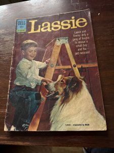 Lassie #58