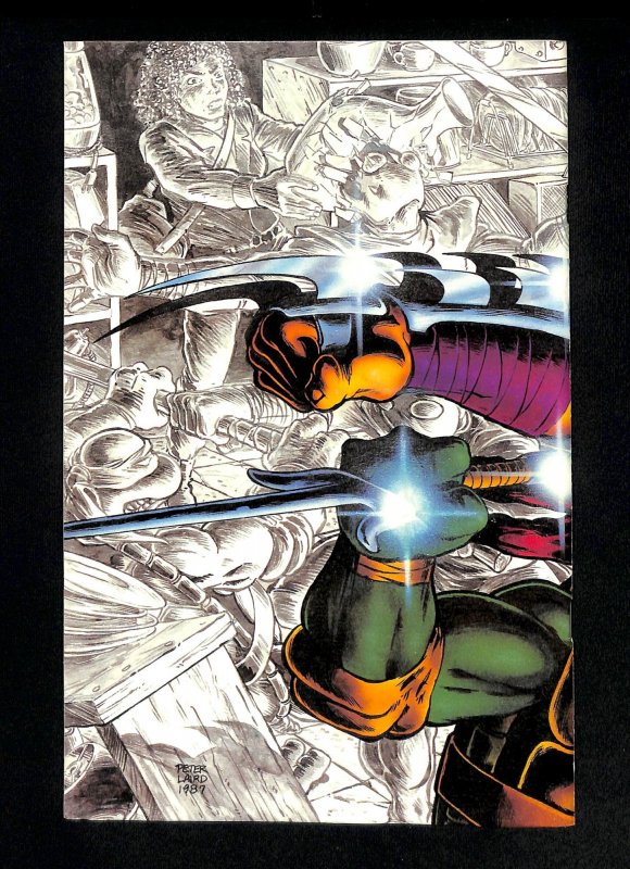 Teenage Mutant Ninja Turtles #10 Shredder Casey Jones!