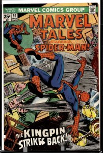 Marvel Tales #65 (1976) Spider-Man