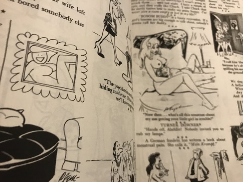 SEX TO SEXY #65 : SRI 1975 VF; Adult Cartoons & Jokes; Bill Ward, Pierre Davis