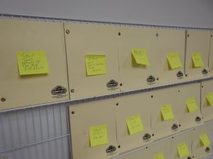 Lot of 21 Script City Scripts! See sticky notes for what scripts they are!