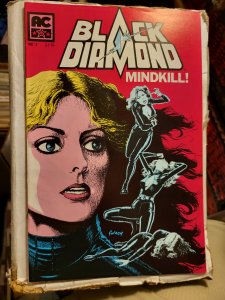 Black Diamond #3 (1983)