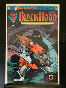 The Black Hood #1 (1991)